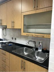 Birmingham Mansions (D11), Apartment #544351691